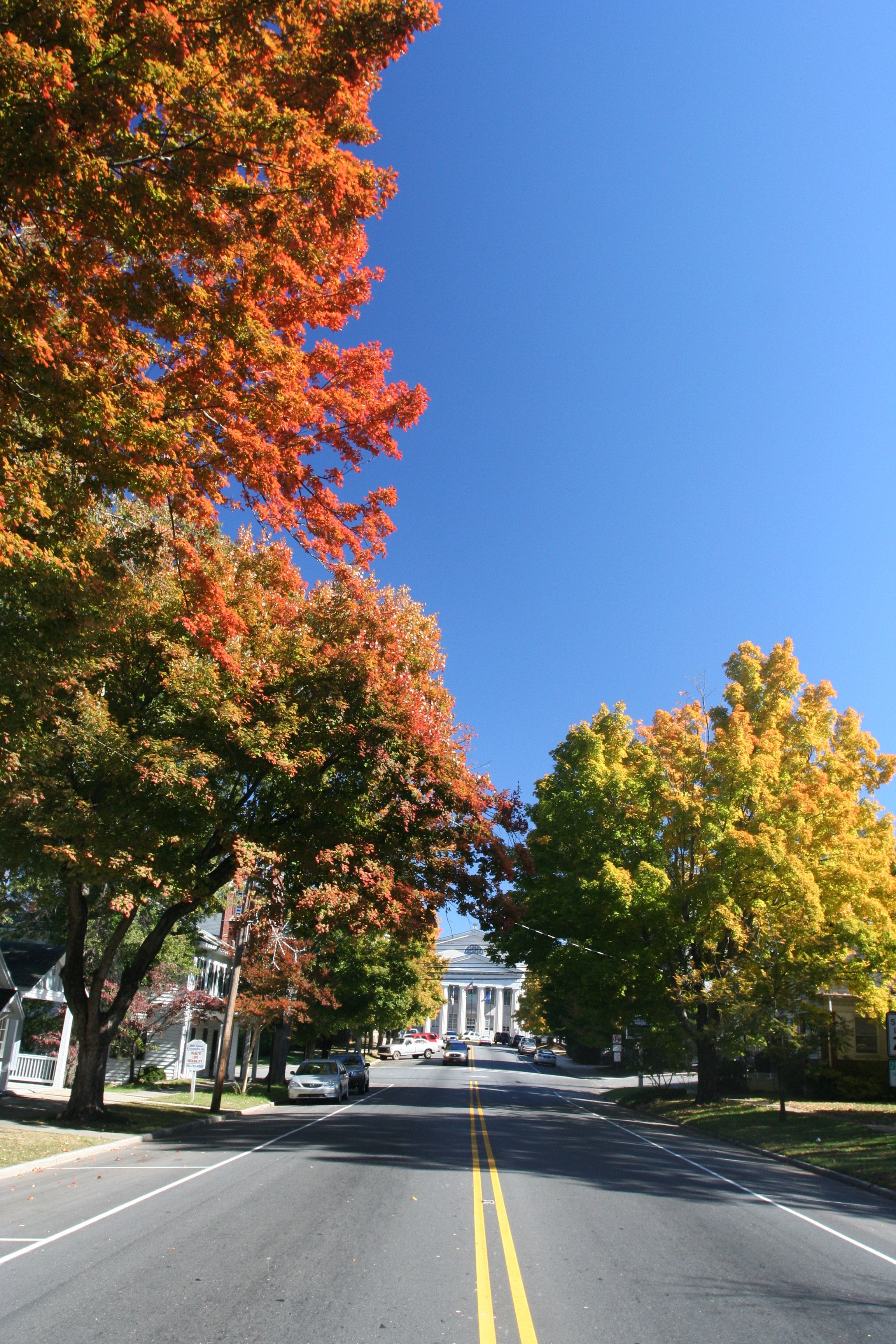 Trees along a roadside begin to turn for Fall